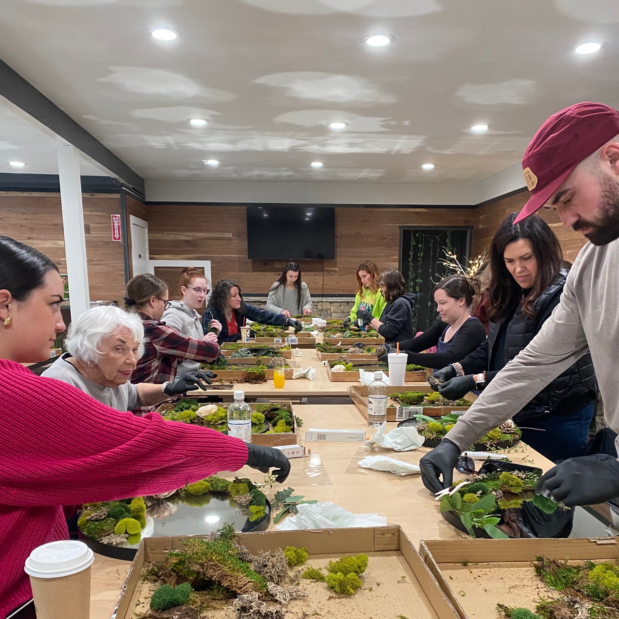Moss Mirror Workshop